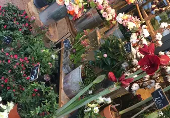 One of the many flower shops scattered along the streets of Paris!
