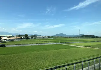 Bullet Train