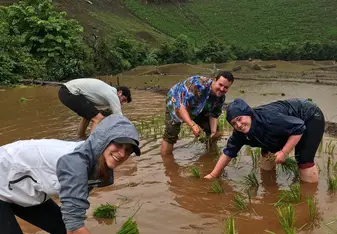 Helping locals plant rice fields!