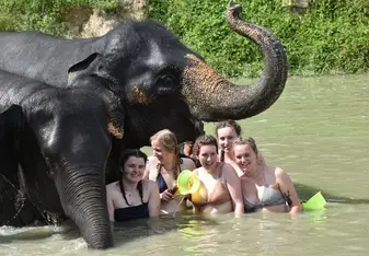 Elephant sanctuary - weekend trip away
