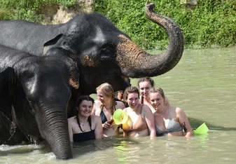 Elephant sanctuary - weekend trip away
