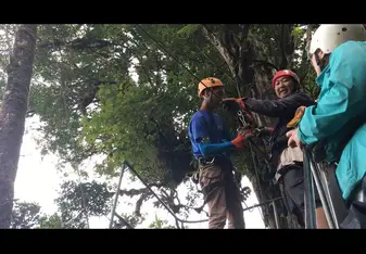 Ziplining in Monte Verde (the longest course in Latin America)