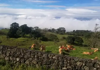This picture was taken in Cartago in the mountains as we travelled to Limón for a rafting trip.