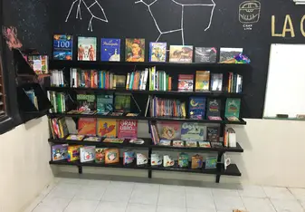 Library books