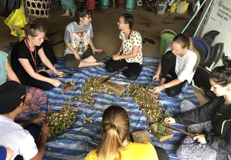 Volenteers making elephant medicine