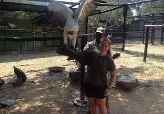 Adventures to rehabilitation parks
