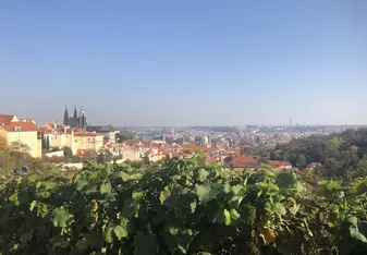 View atop the Břevnov Monastery, Prague CZ