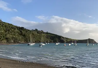 Waiheke Island shore