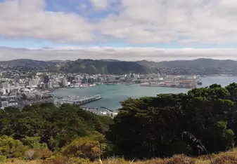 Wellington from Mt Vic