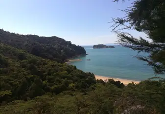 (Not the best) picture from Abel Tasman hike