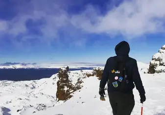 VUW hoodie in coromandel peninsula 