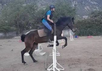 Learning to horseback ride near Mitad del Mundo