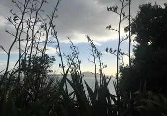 Photos from New Zealand 