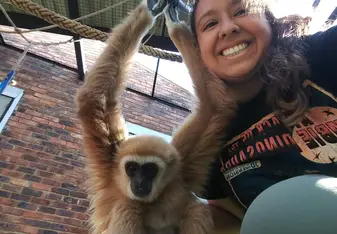 Joshua the Gibbon