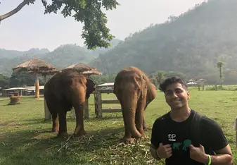 Our first elephant walk and me posing with two older elephants 