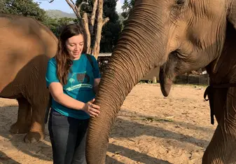 We got to participate in a diet study where we were assigned an elephant who we got to follow around, feed, and collect fecal and urine samples from. 