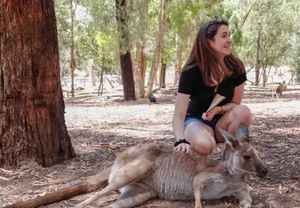 Petting the wildlife from a nature reserve