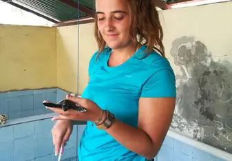 Working 