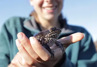 Me holding a frog during our research project in the Cape