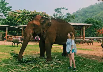 Lucky the elephant who is blind from the circus.
