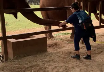 Feeding one of the elephants at Elephant Nature Park