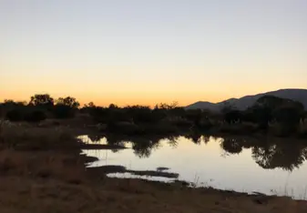 The watering hole. We got to watch a release of a golden buffalo here.