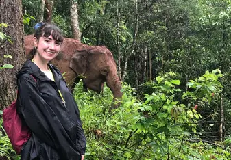 My first elephant hike entailed a strenuous journey but an amazing reward !
