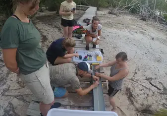 The station for collecting data of the shark pup. 