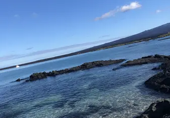 This photo was taken on Fernandina, an island in the Galápagos.