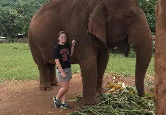One of the many elephants housed at Elephant Nature Park in Chiang Mai