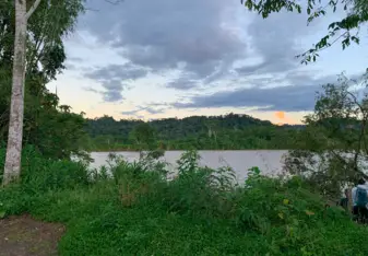 Beautiful views in the jungle 