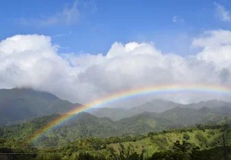 Rainbow 
