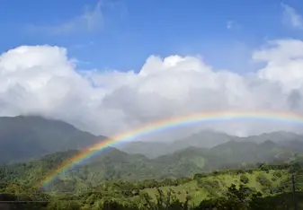 Rainbow 