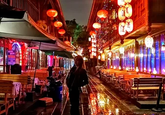 Went with TEAN on the trip, but went off with an old friend apart from TEAN for a day and walked around this amazing pedestrian "street"