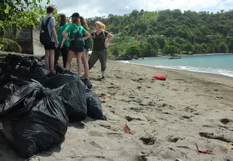 Beach cleanup with a group of youths