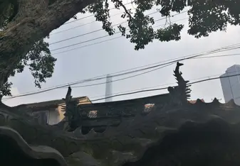 shanghai trip
