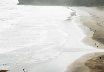 Piha Beach