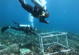 Scientific Diving at its best :)