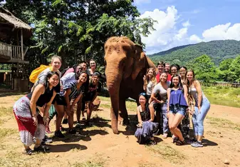 A group photo near an elephant. She was used for mating in a logging camp and has a broken hip from doing so. She's now enjoying life in her new home! 