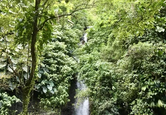 waterfall