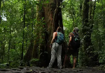 Weekend trip to the Monteverde Cloud Forest Reserve