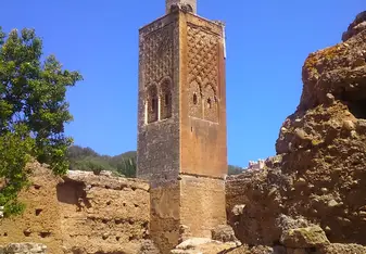 Chellah ruins