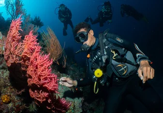 DM Ong showing his students the reef full of life