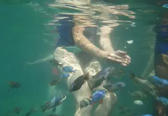 Trying to catch fish with my bare hands