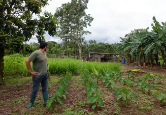 A farm we visited