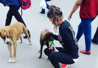 Loved this “street dog” who waited for me every day that I got on and off the bus