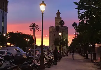 La hermosa Torre de Oro!