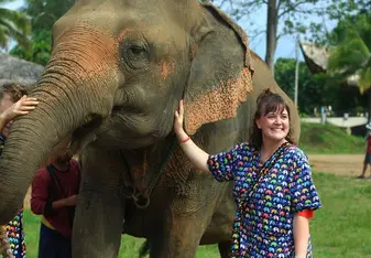 Petting an elephant 