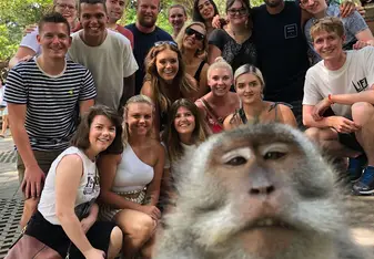 Monkey Forrest Monkey Selfie