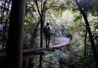 Me walking across a bridge during a hike in the Tararua range.